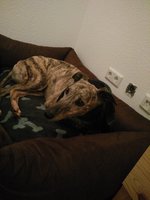 Mir tut mein Hals so weh!