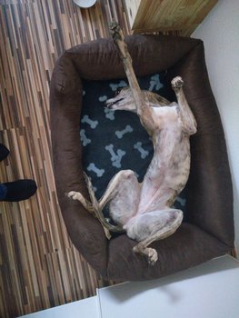 Und ich bin noch so viel größer!