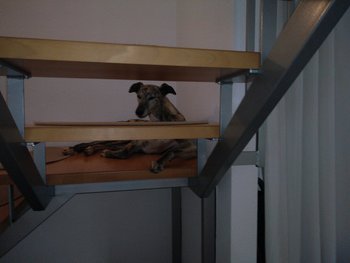 Von hier hat man den perfekten Blick und kann das Futter erriechen…